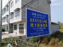 宜都墙体广告质量分析